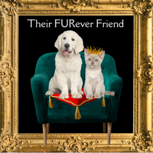 Their Furever Friend
