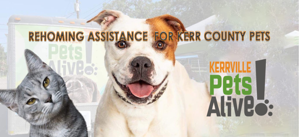 Rehoming Assistance for Kerr County