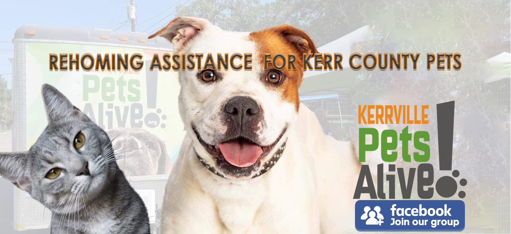 Rehoming Assistance for Kerr County-Group