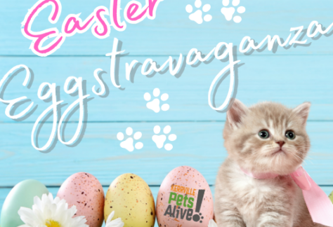 Easter Eggstravaganza & Pet Adoptions