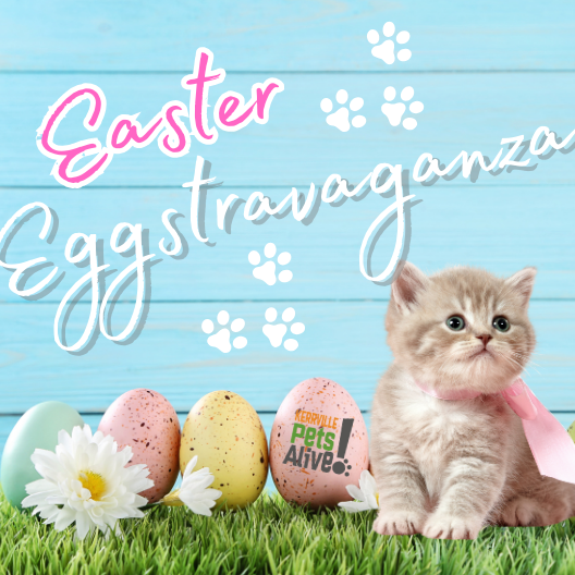 Easter Eggstravaganza & Pet Adoptions
