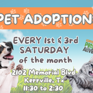 Pet Adoptions Saturday