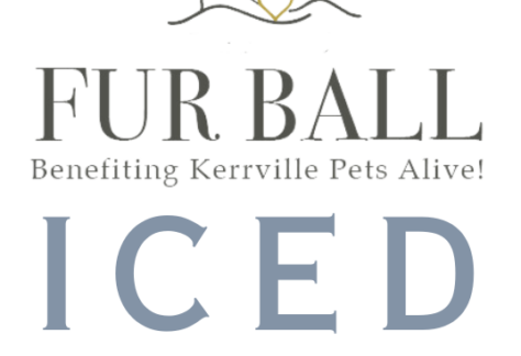 Fur Ball Logo