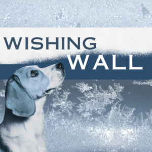 Wishing Wall