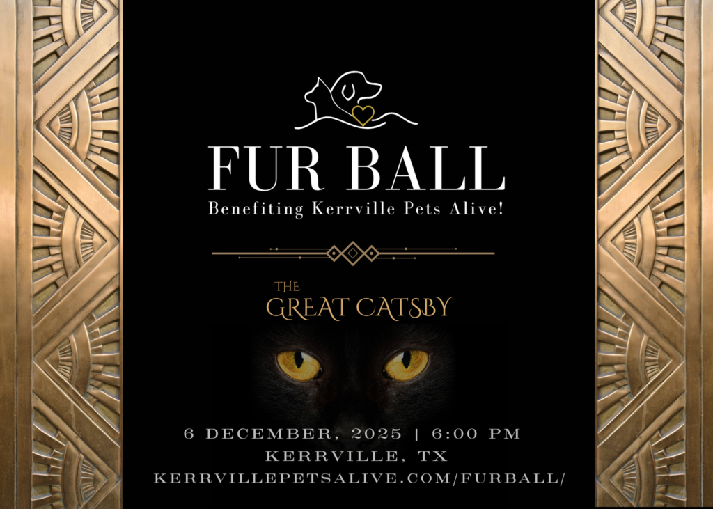 2025 Fur Ball Invite Postcard